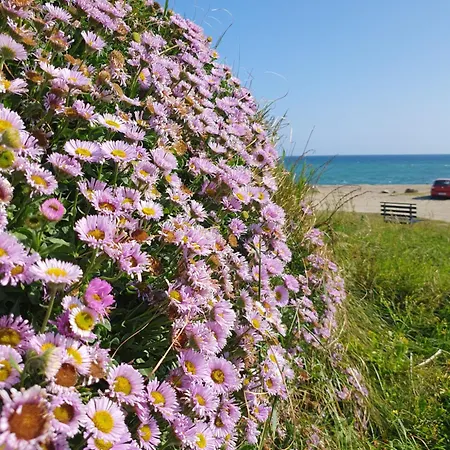 Seaside Chill 别墅