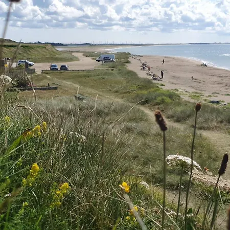 Seaside Chill Carrick (Wexford)