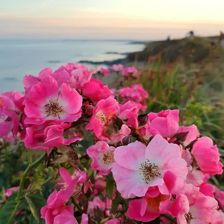 Seaside Chill * Carrick (Wexford)