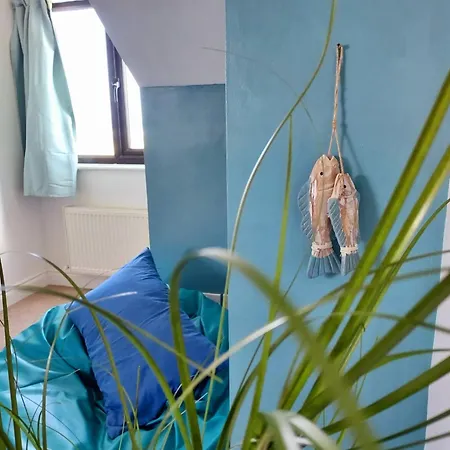 Seaside Chill * Carrick (Wexford)