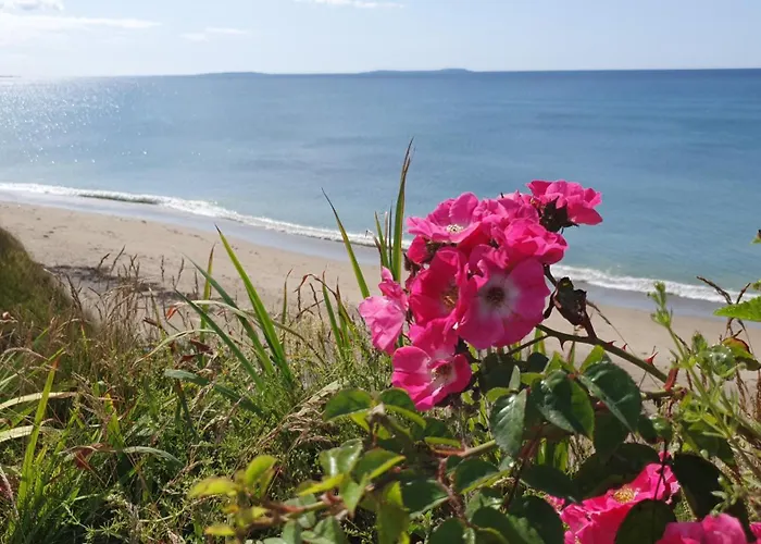 Seaside Chill *