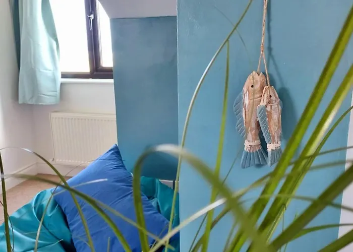 Seaside Chill * Carrick (Wexford)